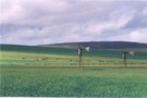irrigation farms